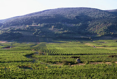anningenr-01.jpg