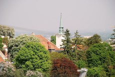 biegler-haus-u-weingaerten-031.jpg